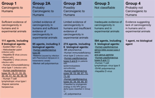 classification-of-carcinogenicity-used-by-the-internati-open-i