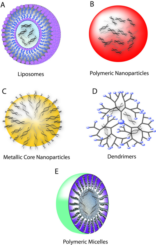 Schematic Of SiRNA Nanocarriers. A) Liposomes. B) Polym | Open-i