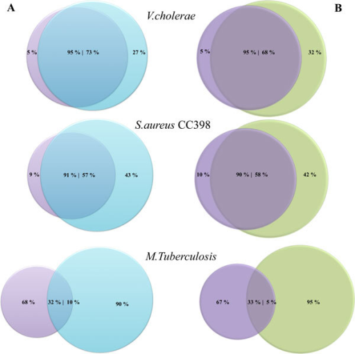 diagram percent venn diagram percentage questions images how to guide diagram percent venn diagram percentage questions images how to guide