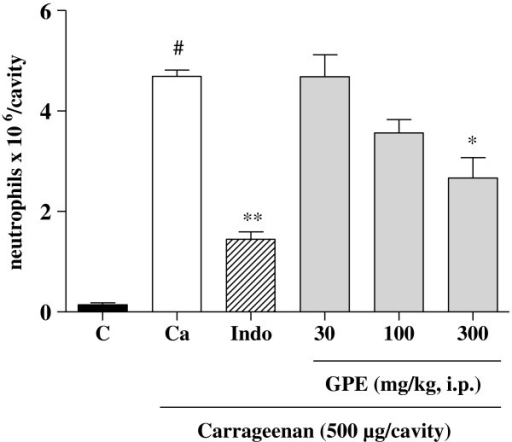 Recruitment Of Neutrophils Into The Peritoneal Cavity I Open I