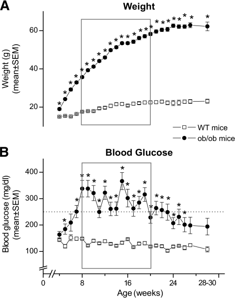 Age-dependent weight gain (A) and blood glucose levels | Open-i