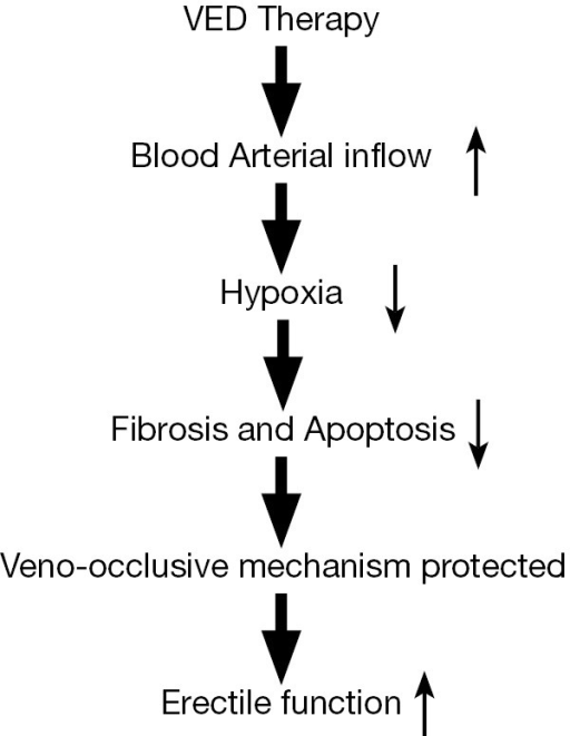 The flowchart shows the possible mechanisms of VED ther Open i