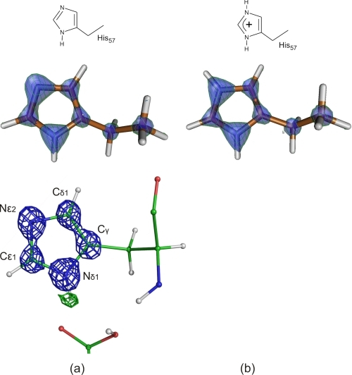 Alternative protonation states of the imidazole ring as | Open-i