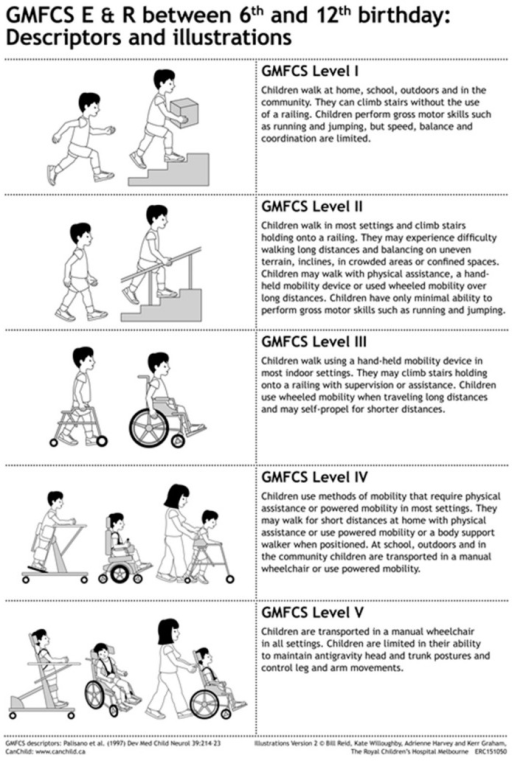 Five Gross Motor Function Classification System (GMFCS) | Open-i