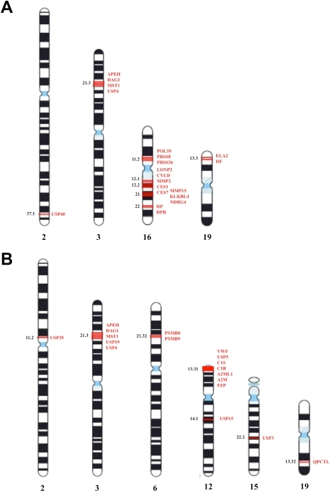 Chromosomal location of top-ranked P/PI genes in Crohn' | Open-i