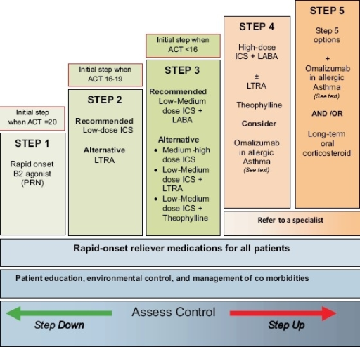 Stepwise approach for managing asthma in adults | Open-i