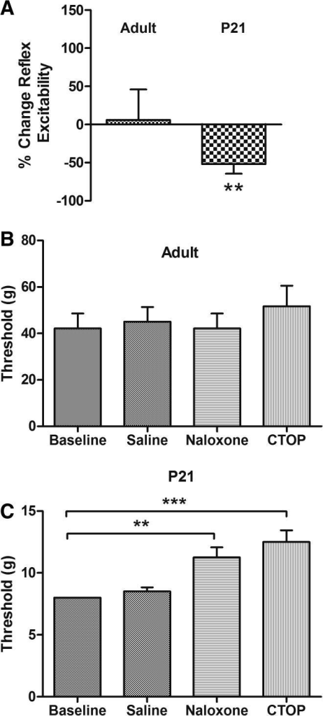 Tonic Facilitation Of Spinal Reflexes From The Rvm By E Open I