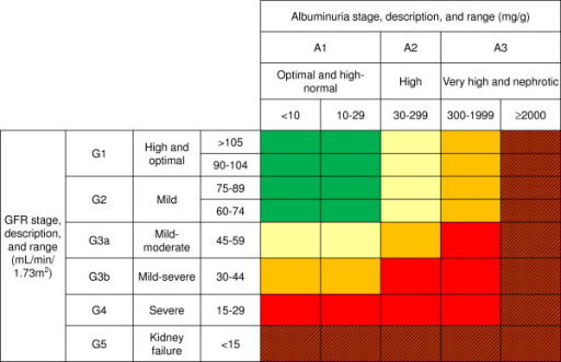 New CKD classification of relative risk according toGFR | Open-i
