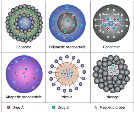 Schematic Diagram Representing The Various Types Of Nan | Open-i