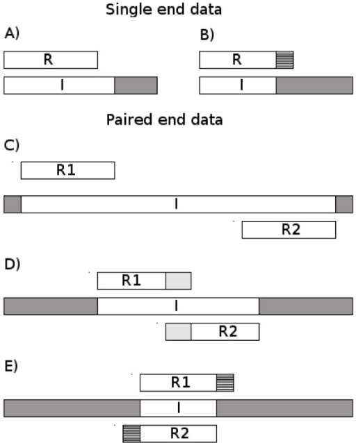 Bwa single end reads