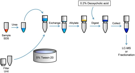 Enhanced filter-aided sample preparation (FASP) workflo | Open-i