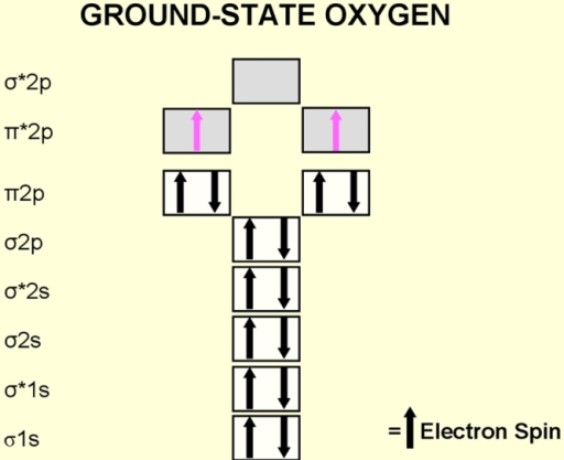 Electron configuration of the diatomic oxygen molecule ...