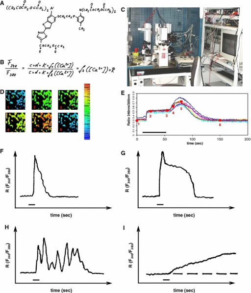 Prerequisites of calcium imaging (a–e) and types of c | Open-i