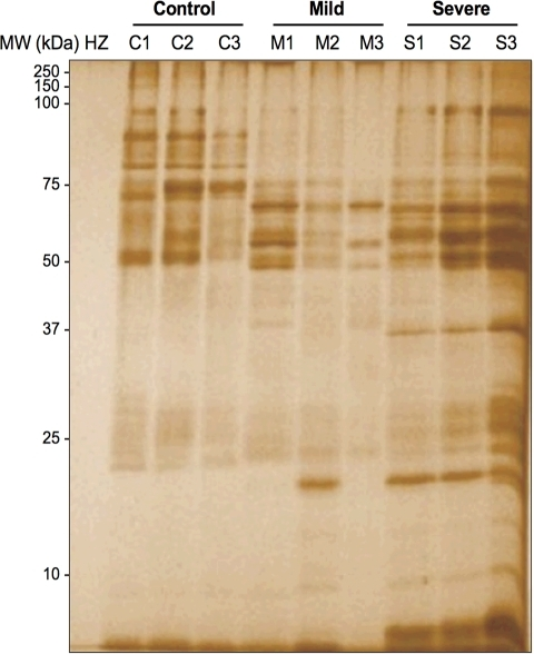 Silver hemocyte для чего