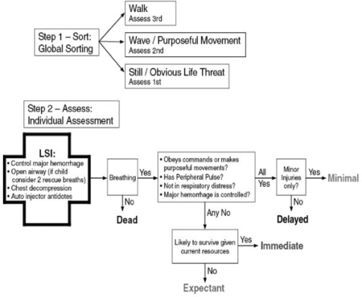 Salt Triage Diagram