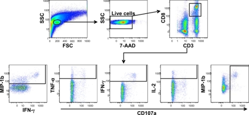 Flow cytometry gating method used in the analysis of CD | Open-i