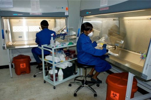 Newly Commissioned Biosafety Level-2 Laboratory At The | Open-i