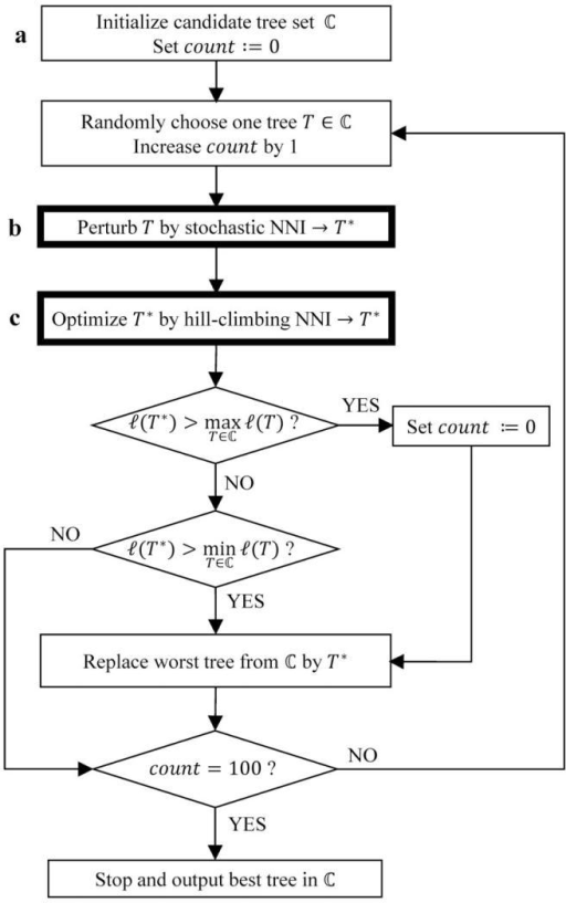 critical exponents