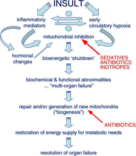 Hypothesis Explaining the Pathophysiology of Multiple O | Open-i