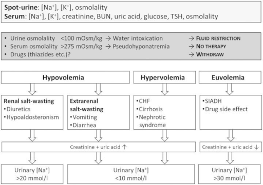 Diagnostic algorithm for hyponatremia. BUN, blood urea | Open-i