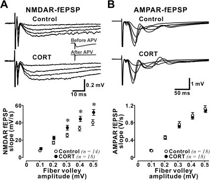 50 metabolism to increase after male how increased mediated NMDAR level fEPSP CORT in Stress the 50 metabolism to increase after male how increased mediated NMDAR level fEPSP CORT in Stress the