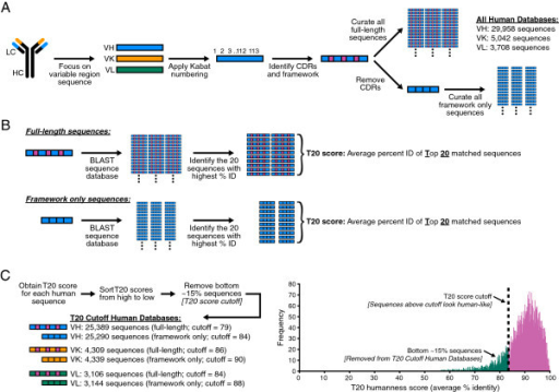 T20 analyzer development. (A) Antibody sequence curatio | Open-i