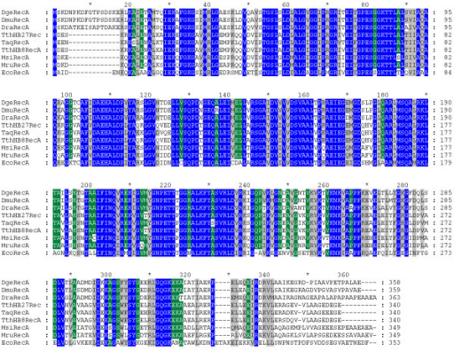 The RecA proteins of Deinococcus radiodurans and Escherichia coli