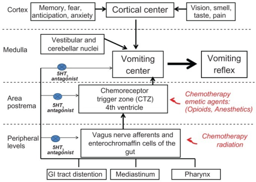 Schematic representation of the mechanisms of emesis as | Open-i