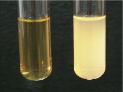 Opacification of human serum by SOF. Human serum was i | Open-i