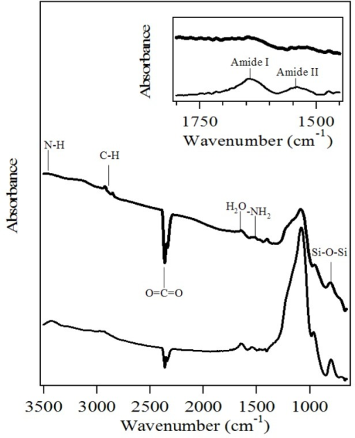 Fourier Transform Infrared FTIR Spectra Of Amino Func Open I