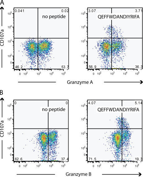 Degranulation of epitope-specific CD4+ T cells. (A) Con | Open-i