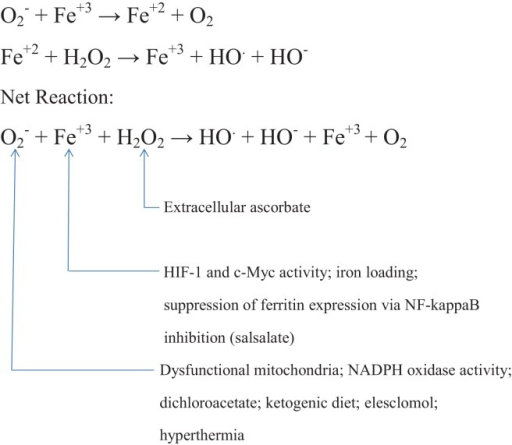 postulated-role-of-the-haber-weiss-reaction-in-mediat-open-i